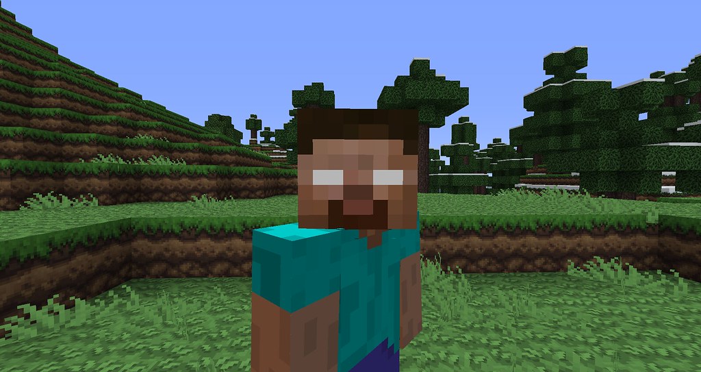 Minecraft Party